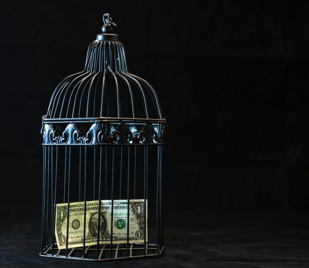 A dollar bill imprisoned in a decorative cage symbolizing financial confinement.